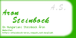aron steinbock business card